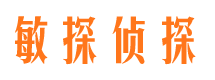 长江新区寻人公司